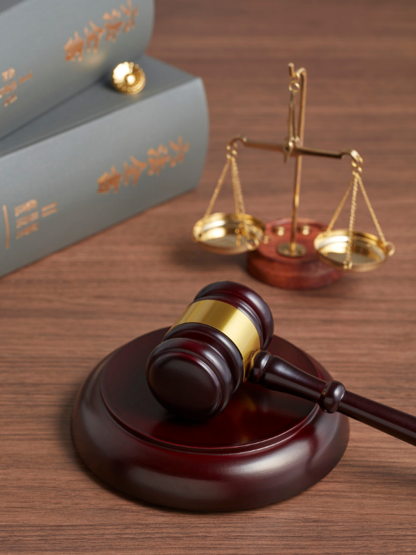 DIVISIONES HORIZONTALES